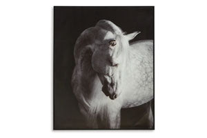 Wall Art - MJM Furniture