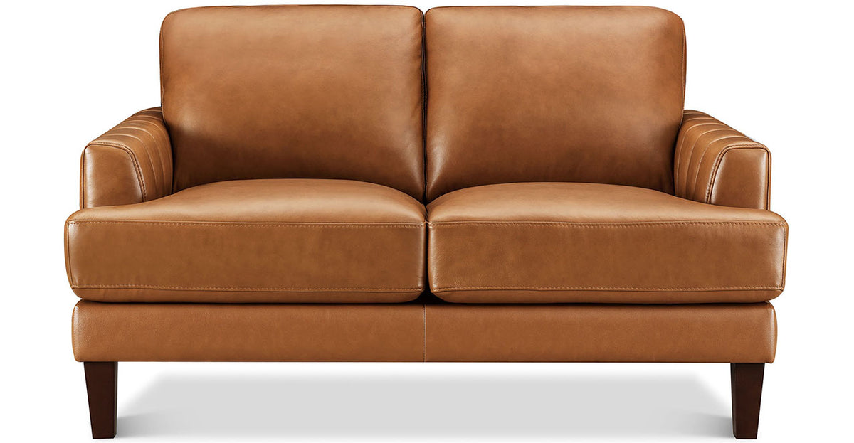 Cassia Leather Loveseat - MJM Furniture