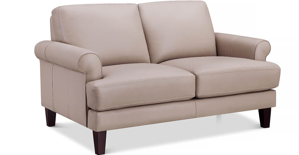Dawn Leather Loveseat - MJM Furniture