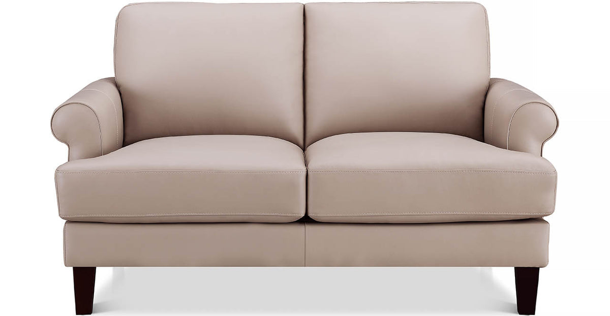 Dawn Leather Loveseat - MJM Furniture