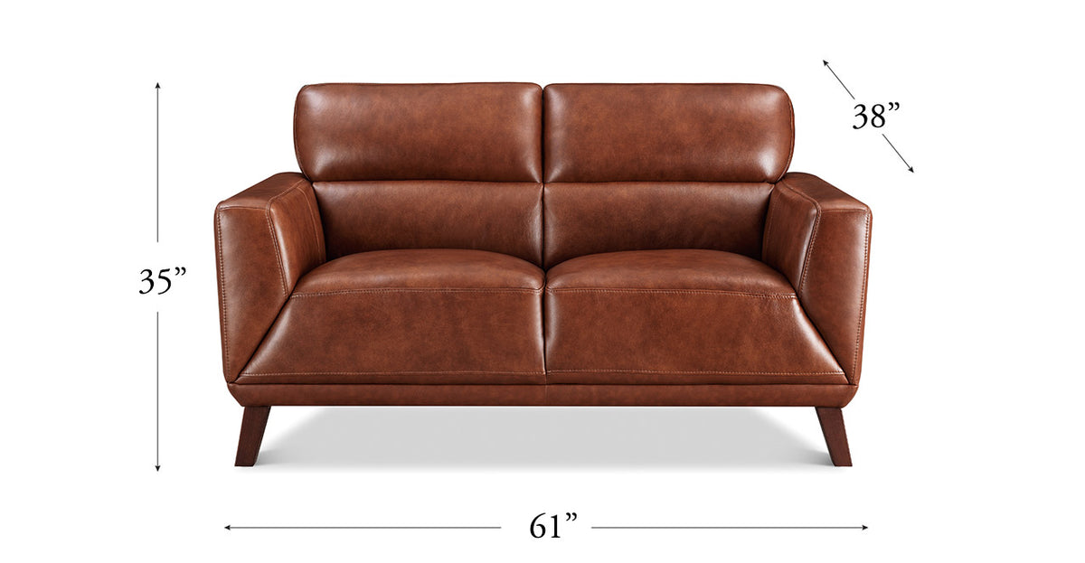 Jake Leather Loveseat - MJM Furniture