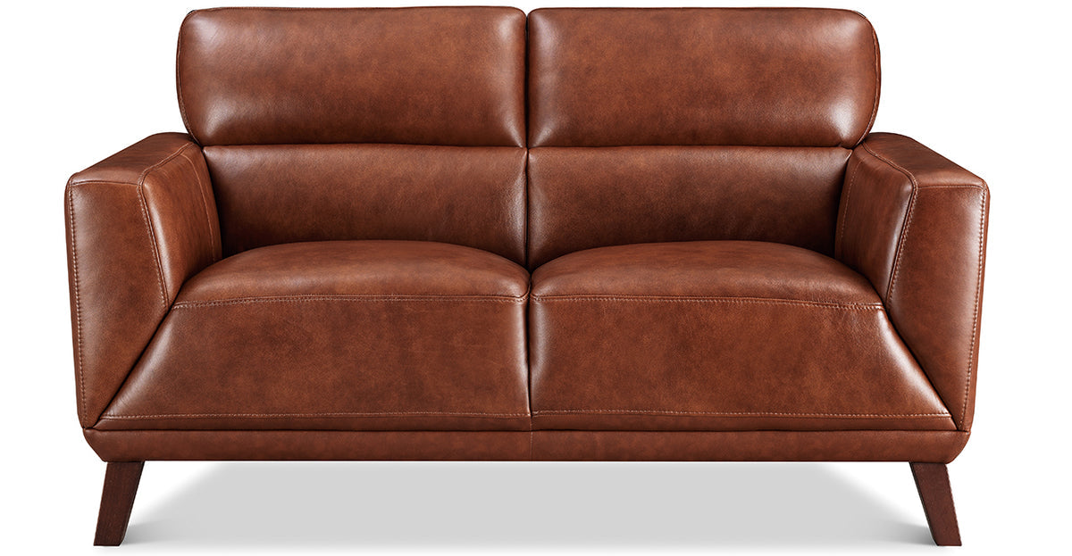 Jake Leather Loveseat - MJM Furniture