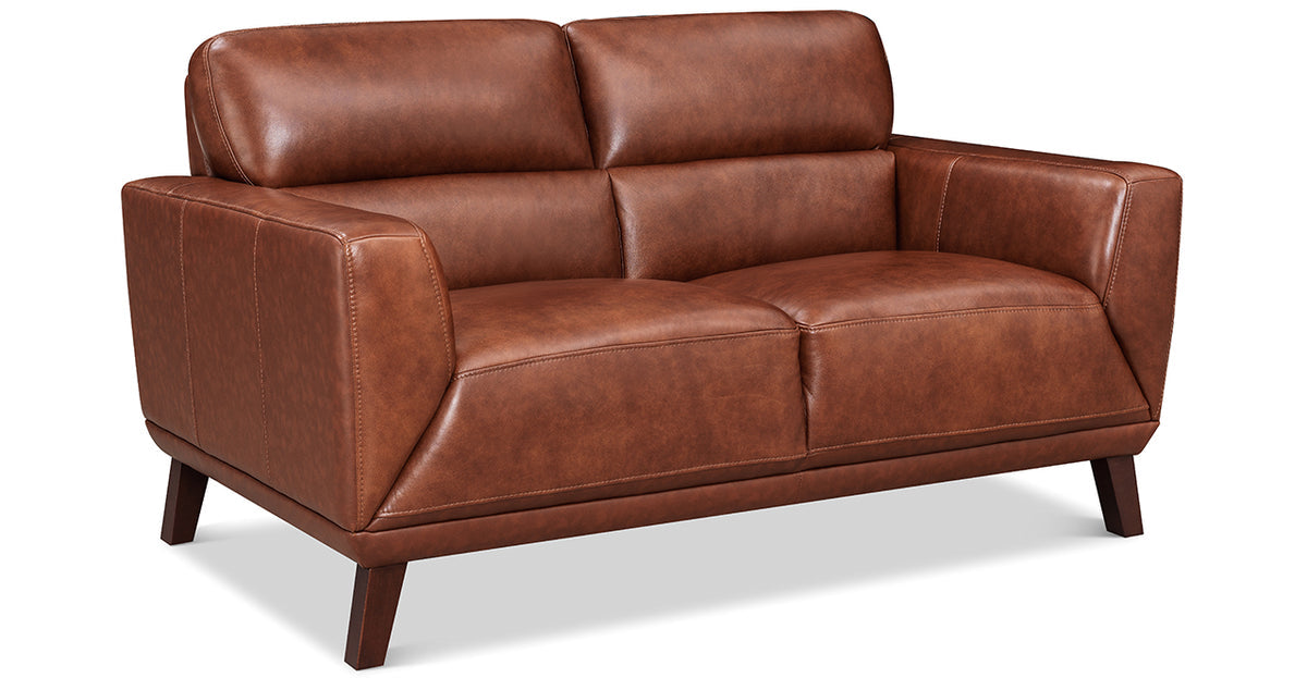 Jake Leather Loveseat - MJM Furniture
