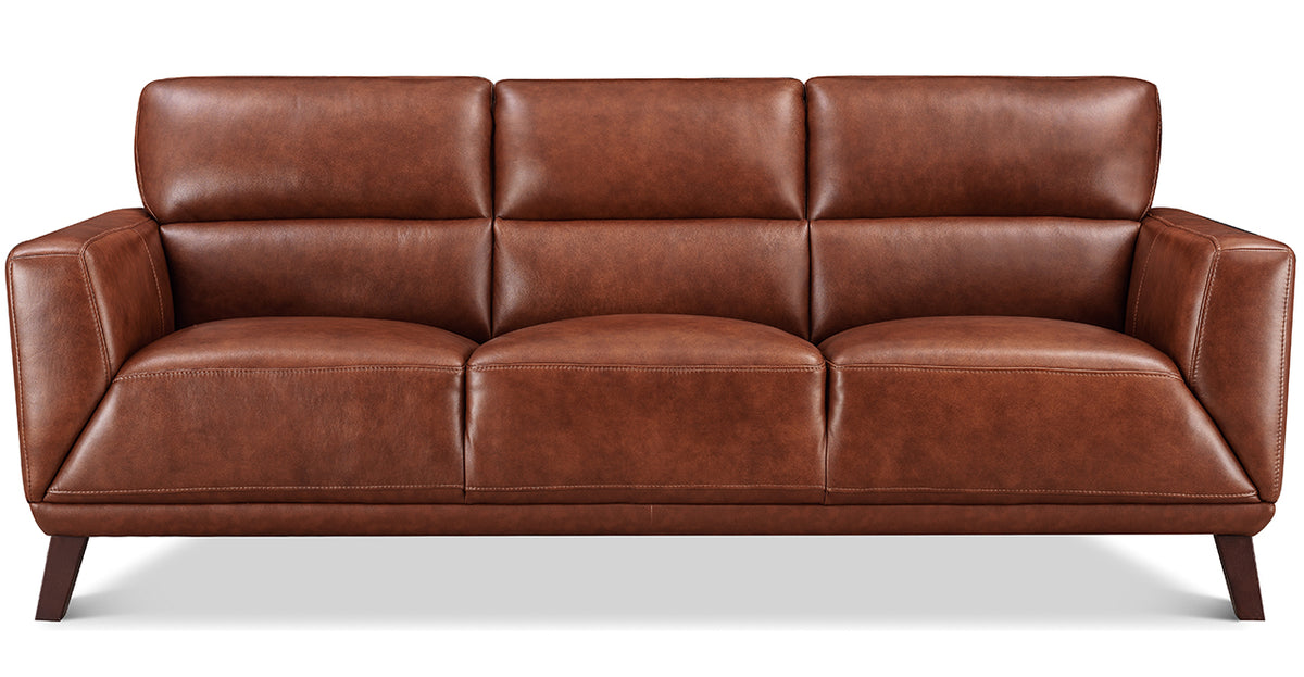 Jake Leather Sofa - MJM Furniture