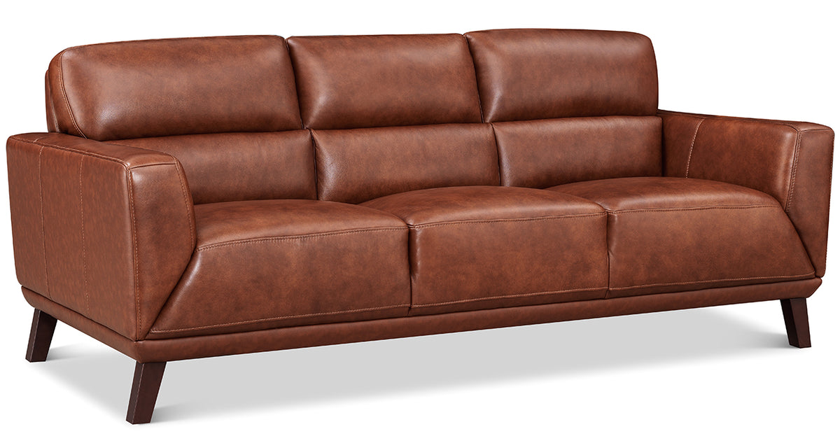 Jake Leather Sofa - MJM Furniture