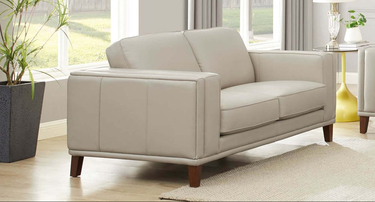 Lyon Leather Loveseat - MJM Furniture