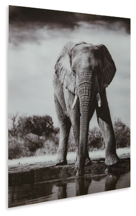 Glinyard Wall Art - MJM Furniture