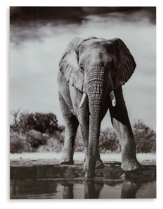 Glinyard Wall Art - MJM Furniture