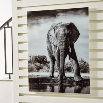 Glinyard Wall Art - MJM Furniture