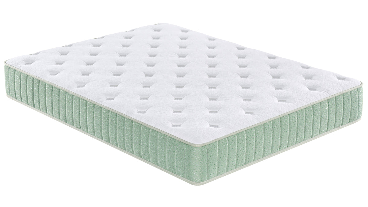 Honey 10" Twin Mattress - MJM Furniture
