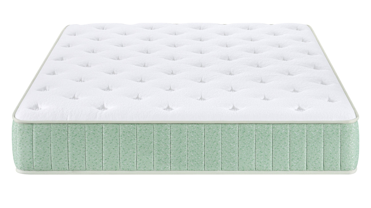 Honey 10" Twin Mattress - MJM Furniture