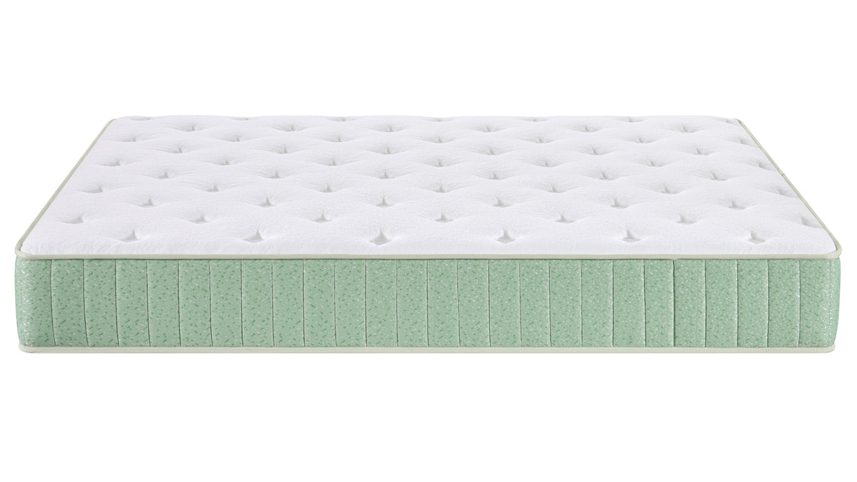 Honey 10" Twin Mattress - MJM Furniture