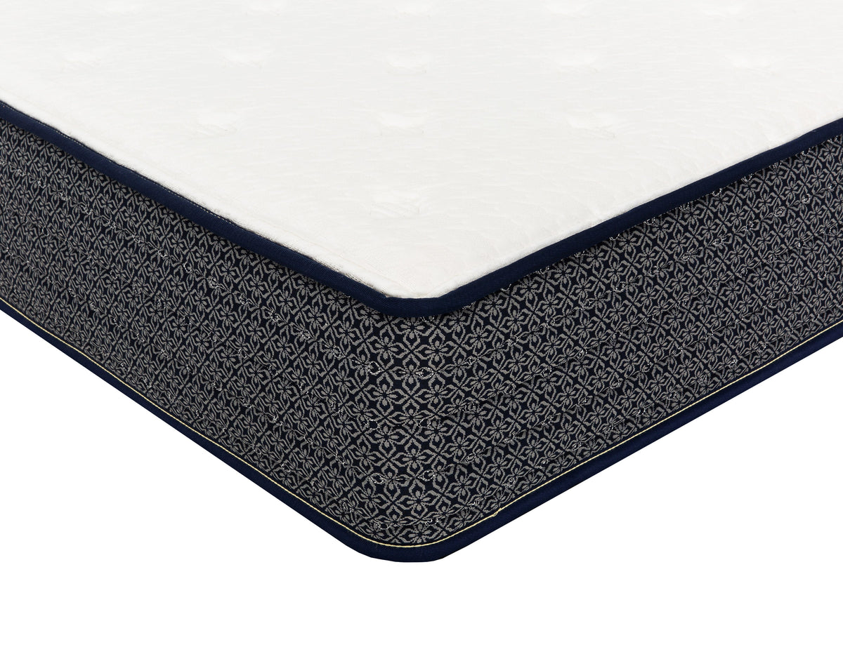 Polar Hybrid 10" Mattress - MJM Furniture