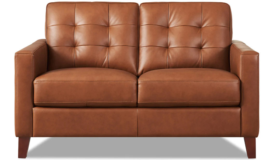 Aiden Leather Loveseat - MJM Furniture