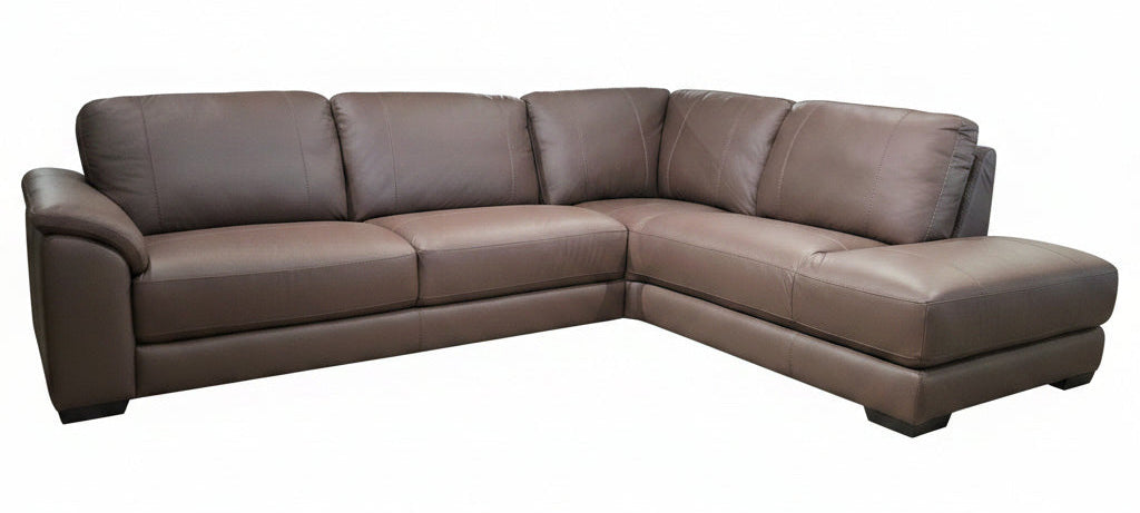 Liam Brown Top Grain Leather Sectional
