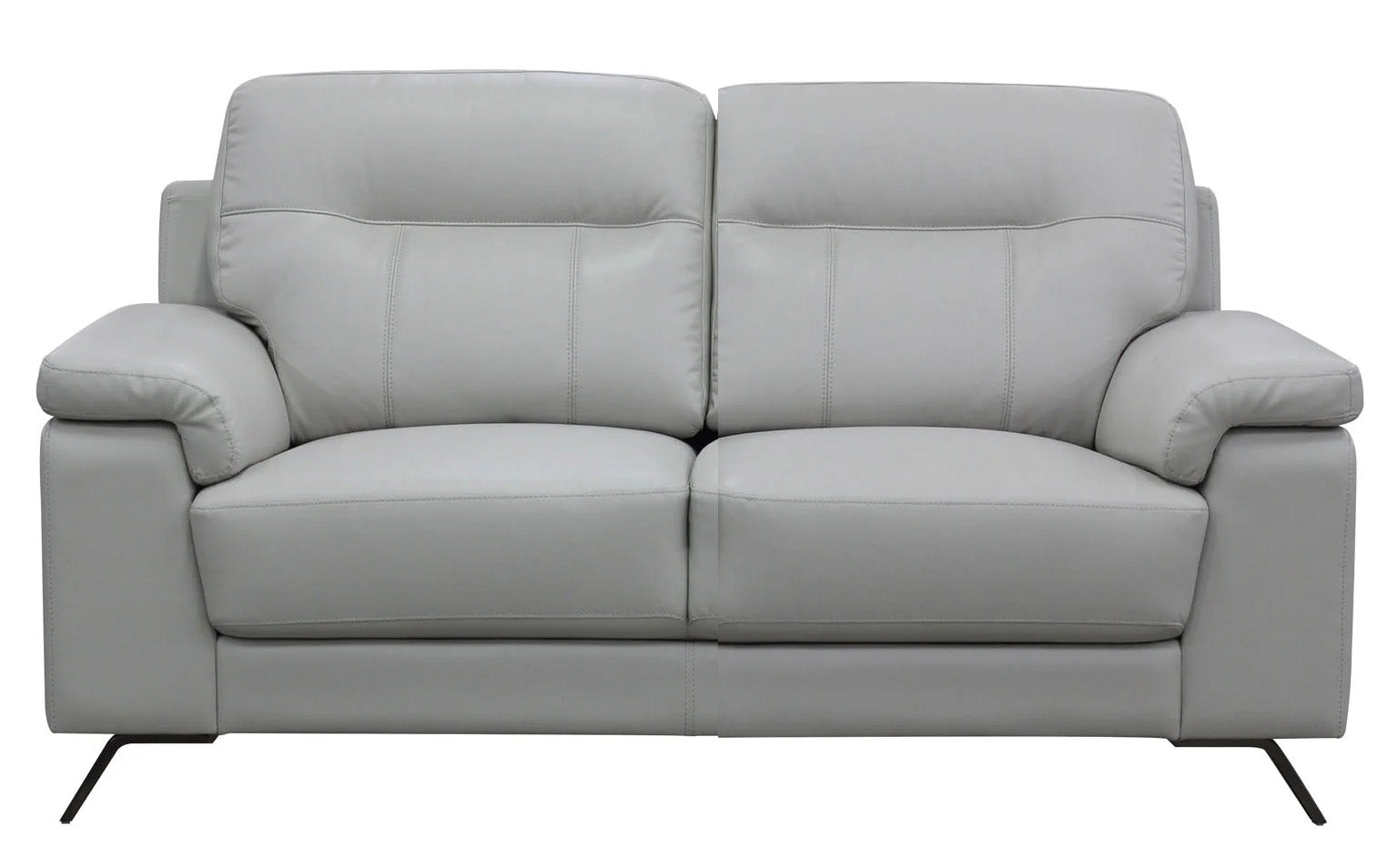 Haus Silver Leather Loveseat - MJM Furniture