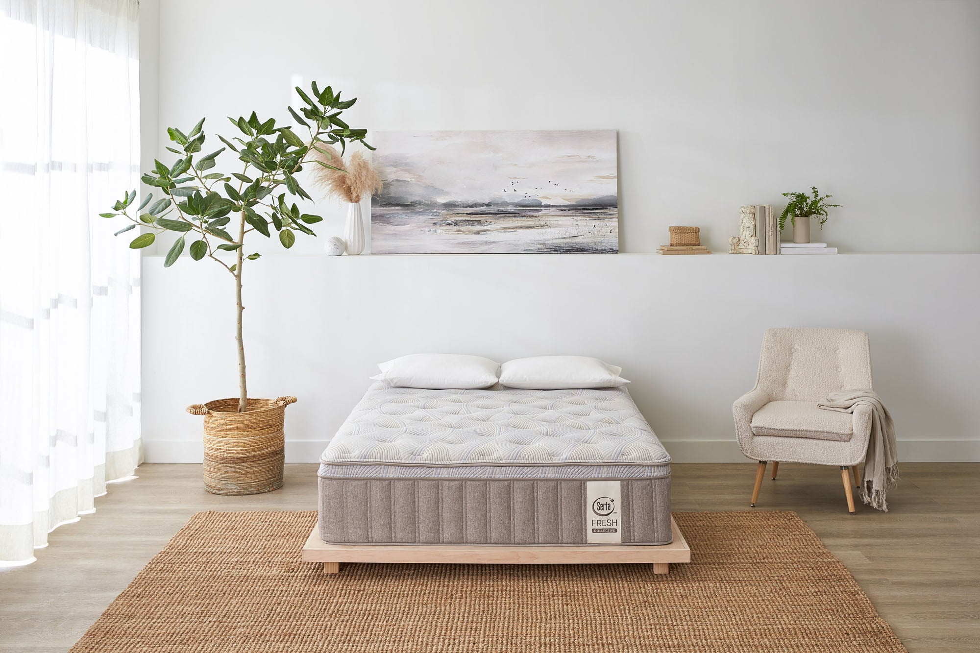 Serta Fresh Papaya Medium Organic Cotton Mattress - MJM Furniture