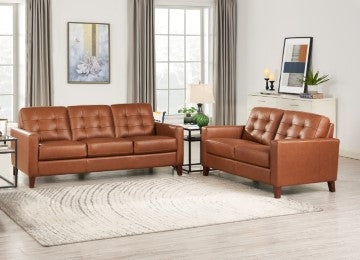 Aiden Leather Sofa Collection - MJM Furniture