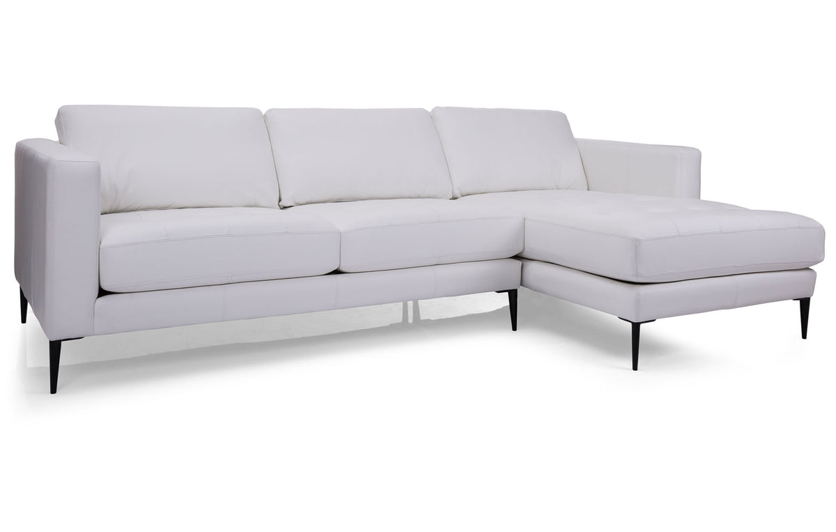 Tampa Leather 2 Piece Sectional - MJM Furniture