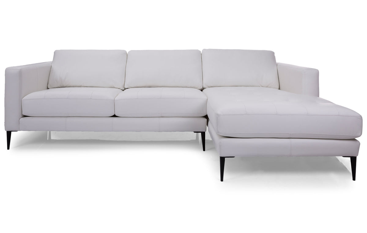 Tampa Leather 2 Piece Sectional - MJM Furniture